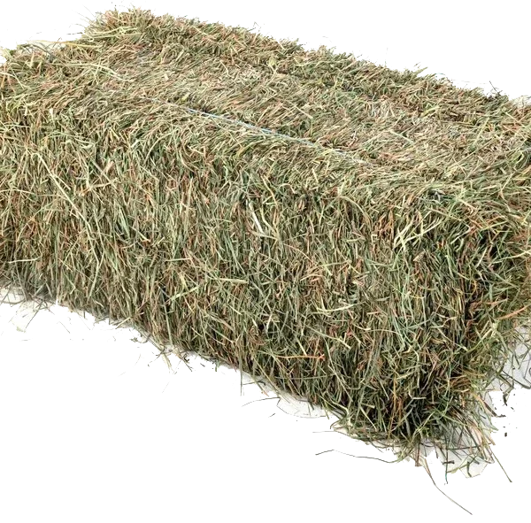 Fieno di prateria 30 balle da ~25 kg / Ordine minimo 04 pallet