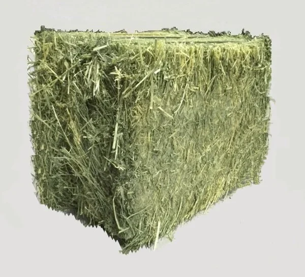 Balle di fieno di erba medica da 250 kg / Ordine minimo 10 balle