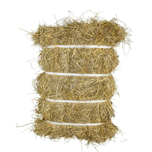 Fieno di prato naturale spolverato e legato