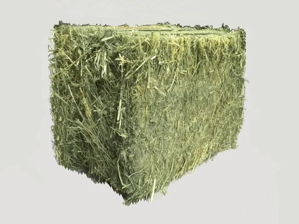 Balle di fieno di erba medica da 350 kg / Ordine minimo 6 balle