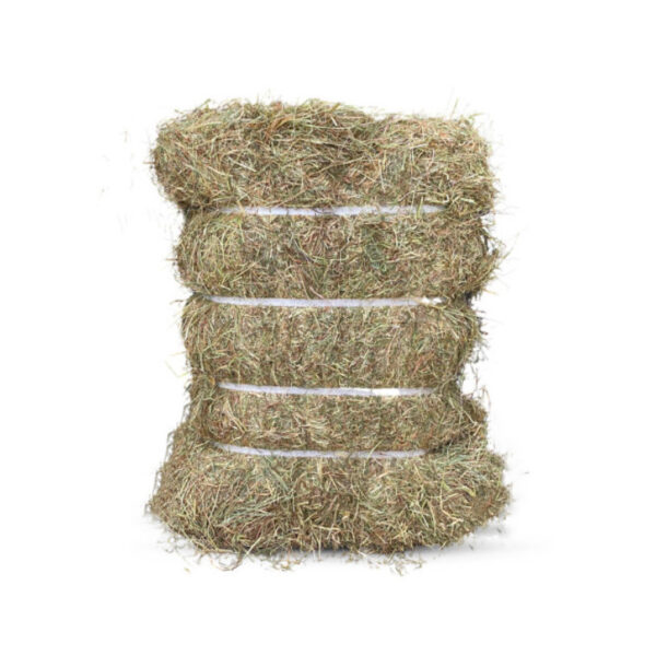 Fieno senza polvere Prato naturale 20 kg